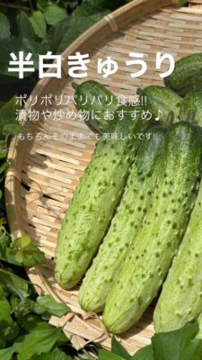 DC10138C-C561-4656-B42C-27BD37B6D432.jpeg