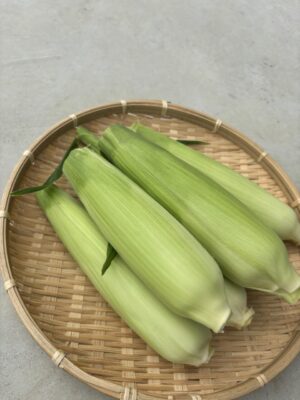 IMG_4620.jpeg