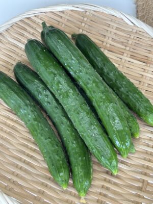 IMG_5948.jpeg
