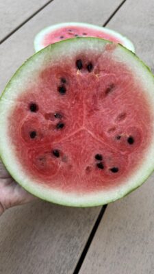 IMG_5512.jpeg